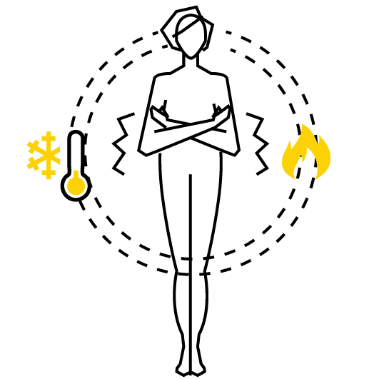 BODY-Constitution-graphic-Special