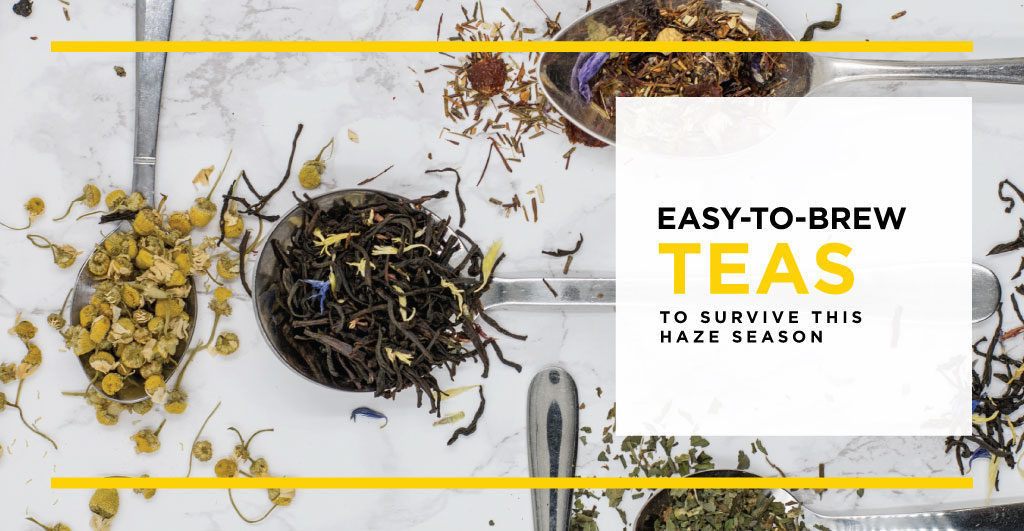 Easy-to-brew Teas to Survive this Haze Season