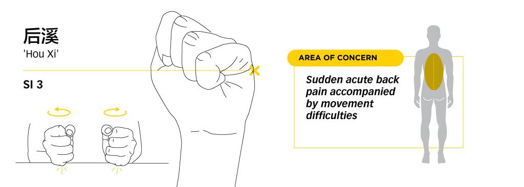 Lower-Back-pain-Management-9-houxi