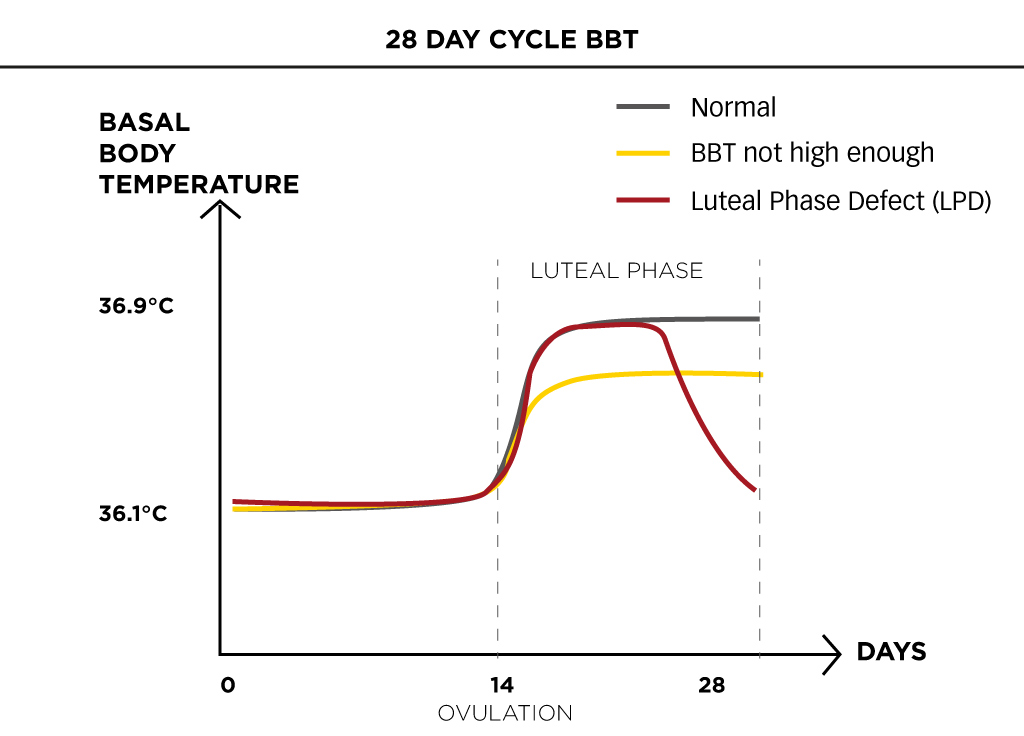 What-does-it-mean-to-have-a-cold-womb-2
