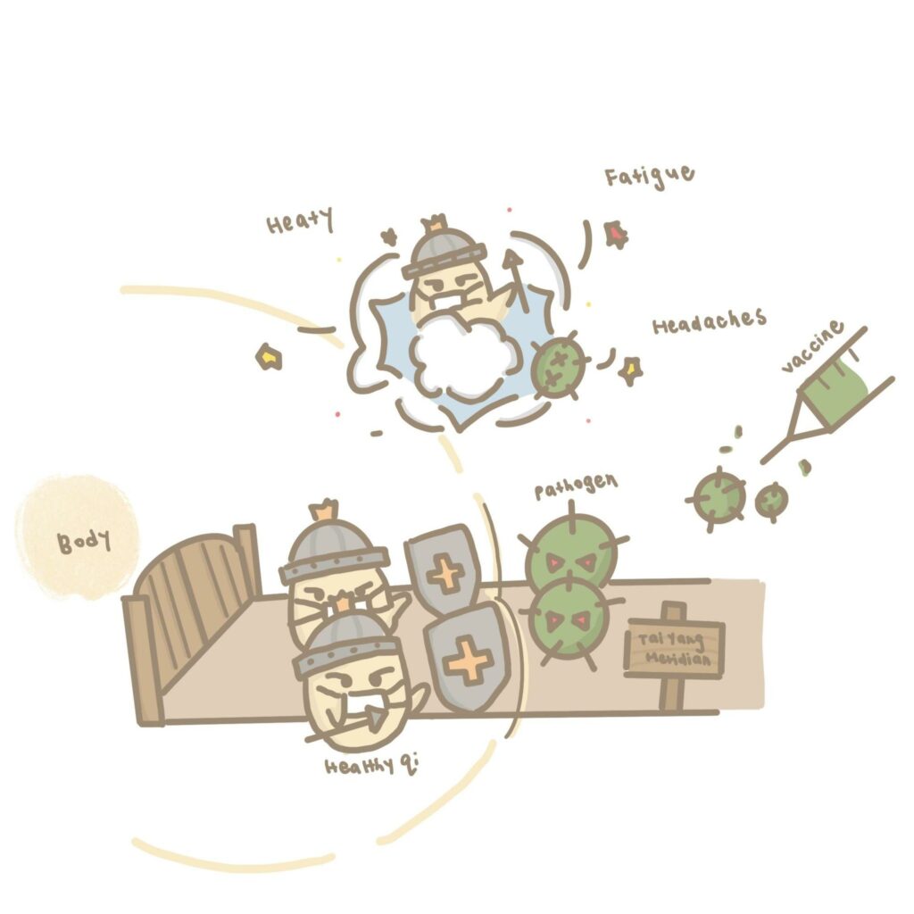 How can TCM help with Post Vaccination Care and Immunity 2