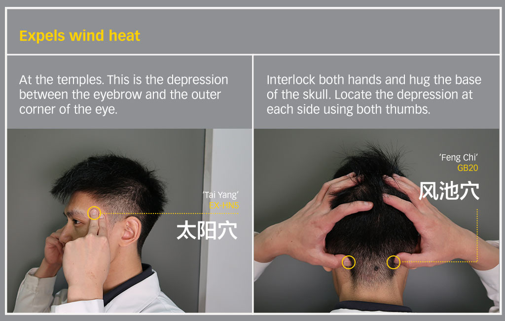 How can TCM help with Post Vaccination Care and Immunity 3 v3