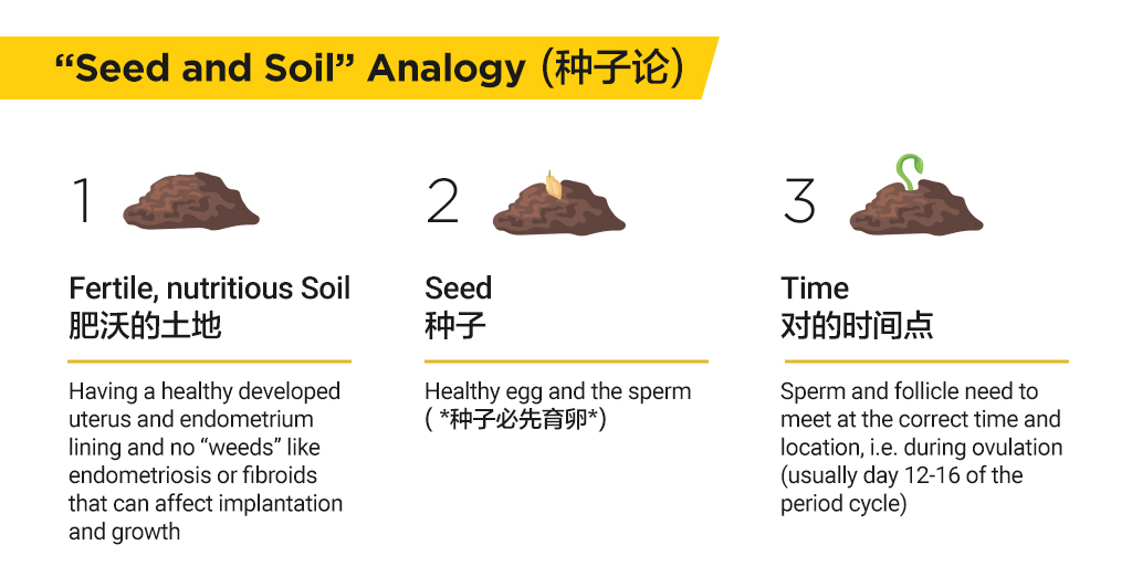Improve your IUI and IVF success rate with Acupuncture 2