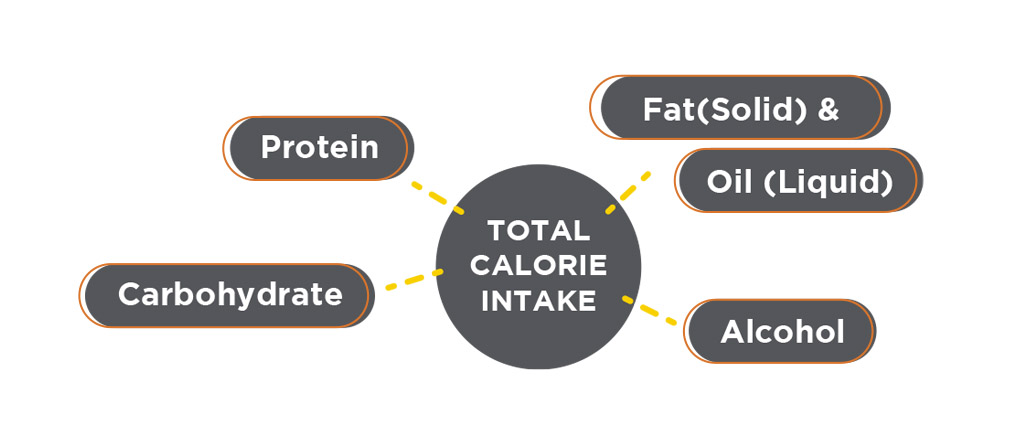medical nutrition therapy, nutrition, diet, physician, clinical dietitian, pulse tcm, tcm in singapore