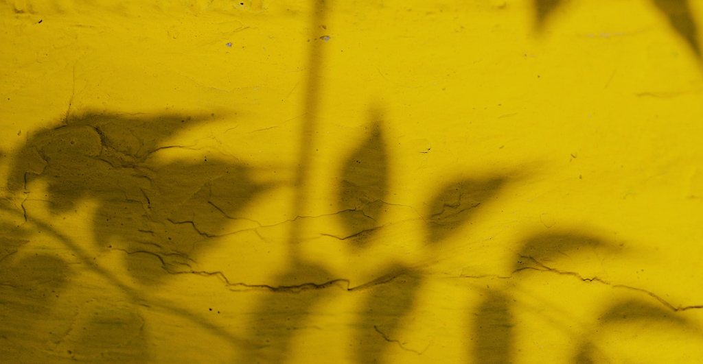 [OPINION] Cancer-Role of TCM in Treatment and Prevention